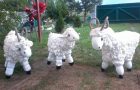 Piankowe kozy